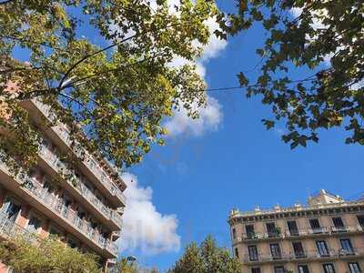 Sun - Coffee & Bakery