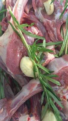 Zenzero Torremolinos