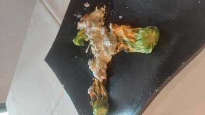 Cellarius Experience