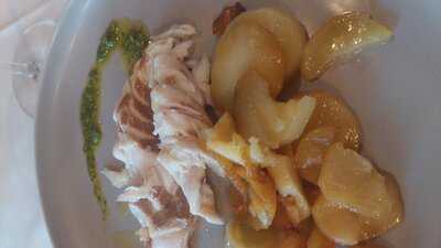 Cellarius Experience