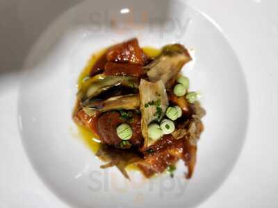 Cellarius Experience