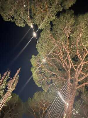 Restaurante Savaina - Photo 8