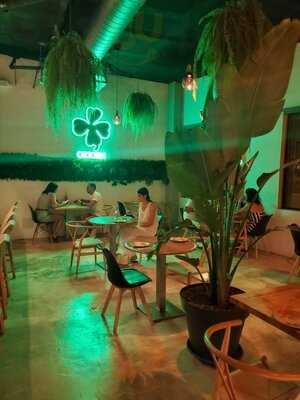 Origen Tapas Concept