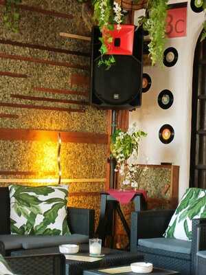 Acoustic Whim - Photo 7