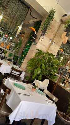 Amazonique Santanyí