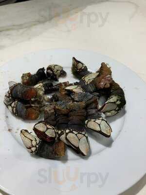 Ostreria Kamal Pulpería Maruxa