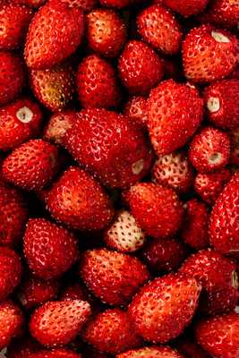 Camarasa Francesc Macià