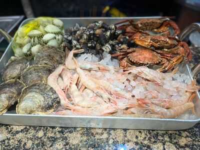 Boga Boga Taberna Premium