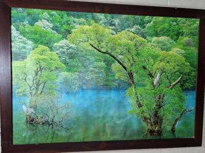 Bar Restaurante Route 5