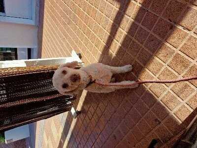 Gastrobar La Fabrica Brew Pub