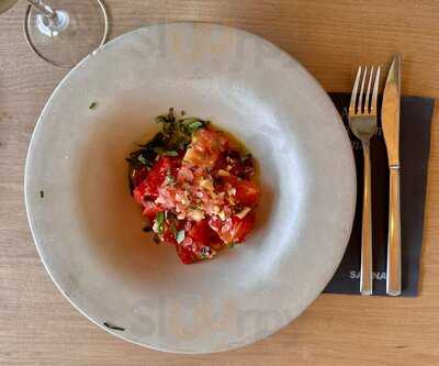 Saona Puerto Venecia