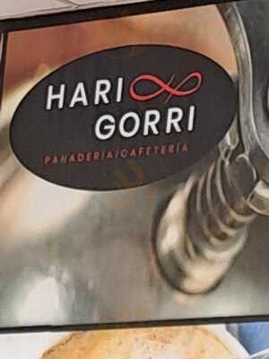 Hari Gorri - Photo 8