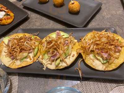 Saona Ramón Y Cajal