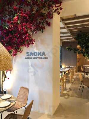 Saona Ramón Y Cajal