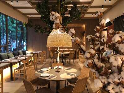 Saona Ramón Y Cajal