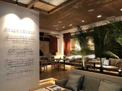 Saona Ramón Y Cajal