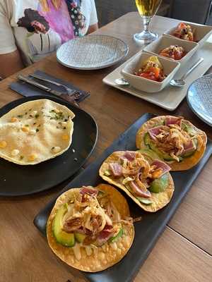 Saona Ramón Y Cajal