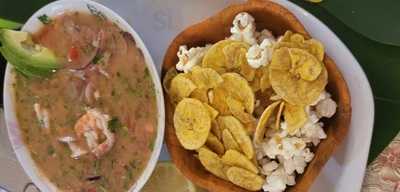 Taberna Latina Gandia