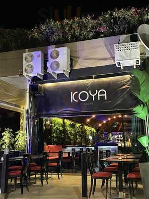 Koya