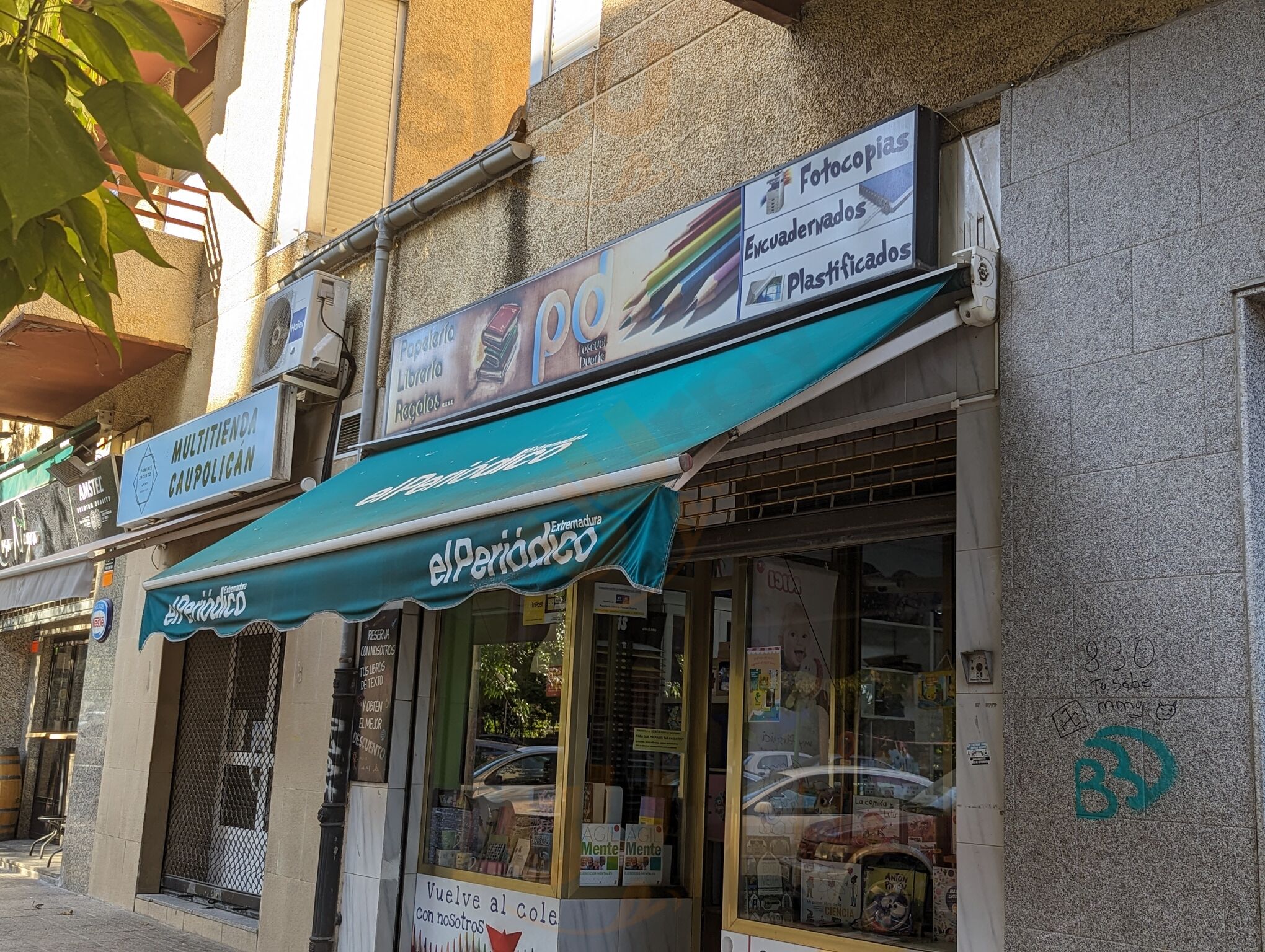Paninis Jacinto