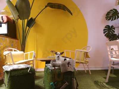 Mimosa Brunch & Cocktails