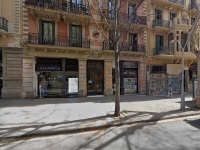 Mimosa Brunch & Cocktails