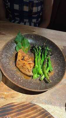 Wild Carnal Steak House