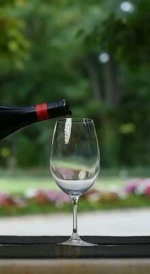 La Terraza De Palacio