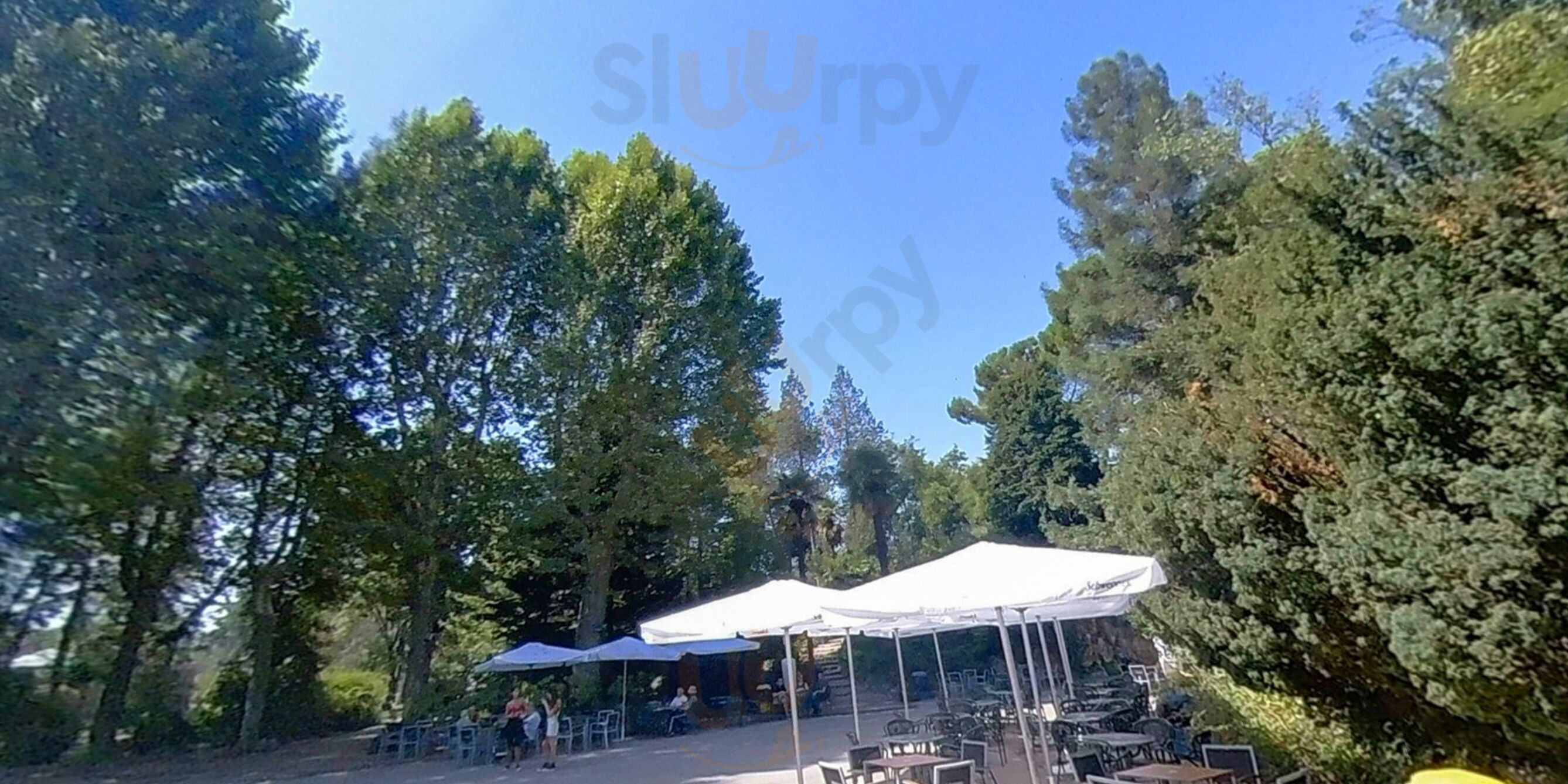 La Terraza De Palacio