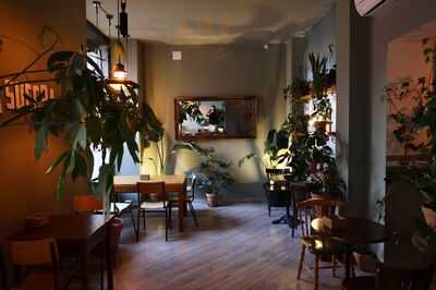 Bar La Suegra Del Jardinero