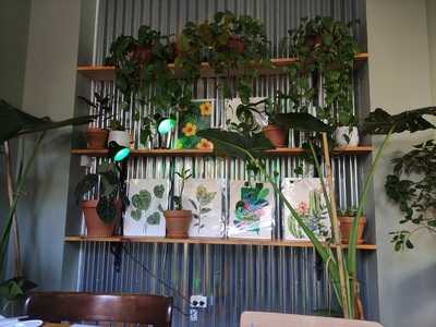 Bar La Suegra Del Jardinero