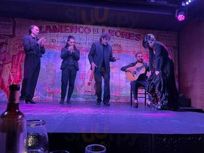 Flamenco De Leones