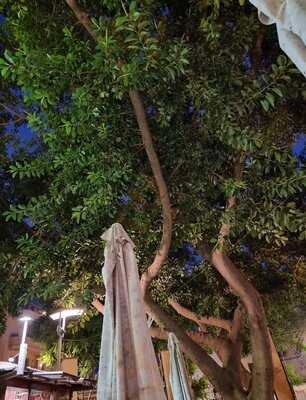 Cafetería Del Parque