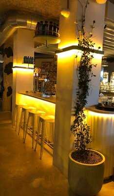 Flax & Kale Trafalgar