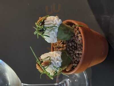 Gastroshows - Experiencias Gastronómicas