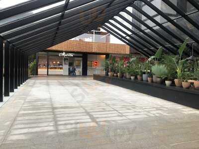 Empanadas Malvón Caleido