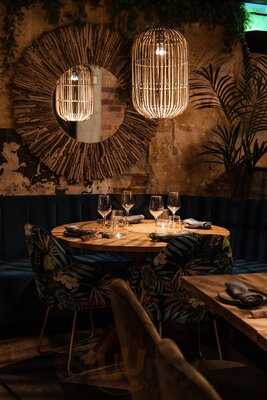 Wild Carnal Steak House