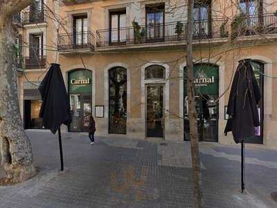 Wild Carnal Steak House