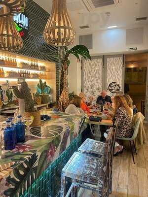 Apapacho By Chibiski Oviedo