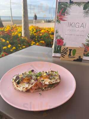 Ikigai Food For Life