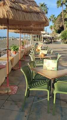 Ikigai Food For Life