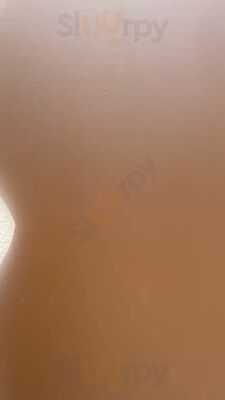 El Salon De Mi Casa Cat Cafe