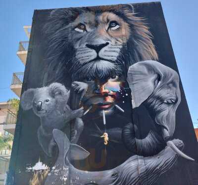 Loss Alcazares Murcia