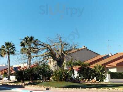 Loss Alcazares Murcia