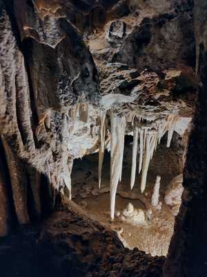 The Anchor Sports Bar Palma