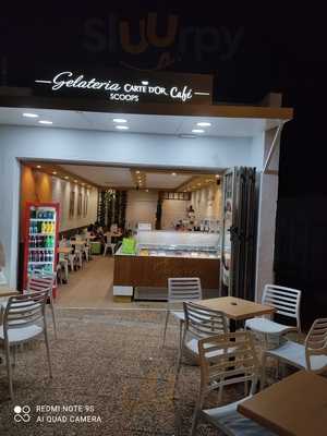 Gelateria Carte D’or Scoops
