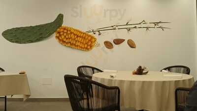 Muxgo By Borja Marrero