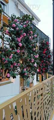 Art Bakery & Gourmet