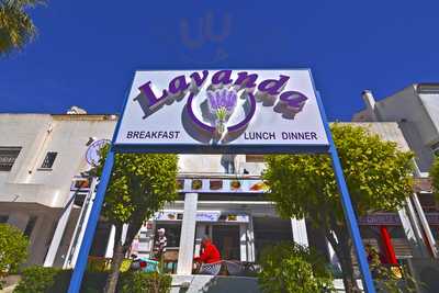 Italian Restaurant Lavanda