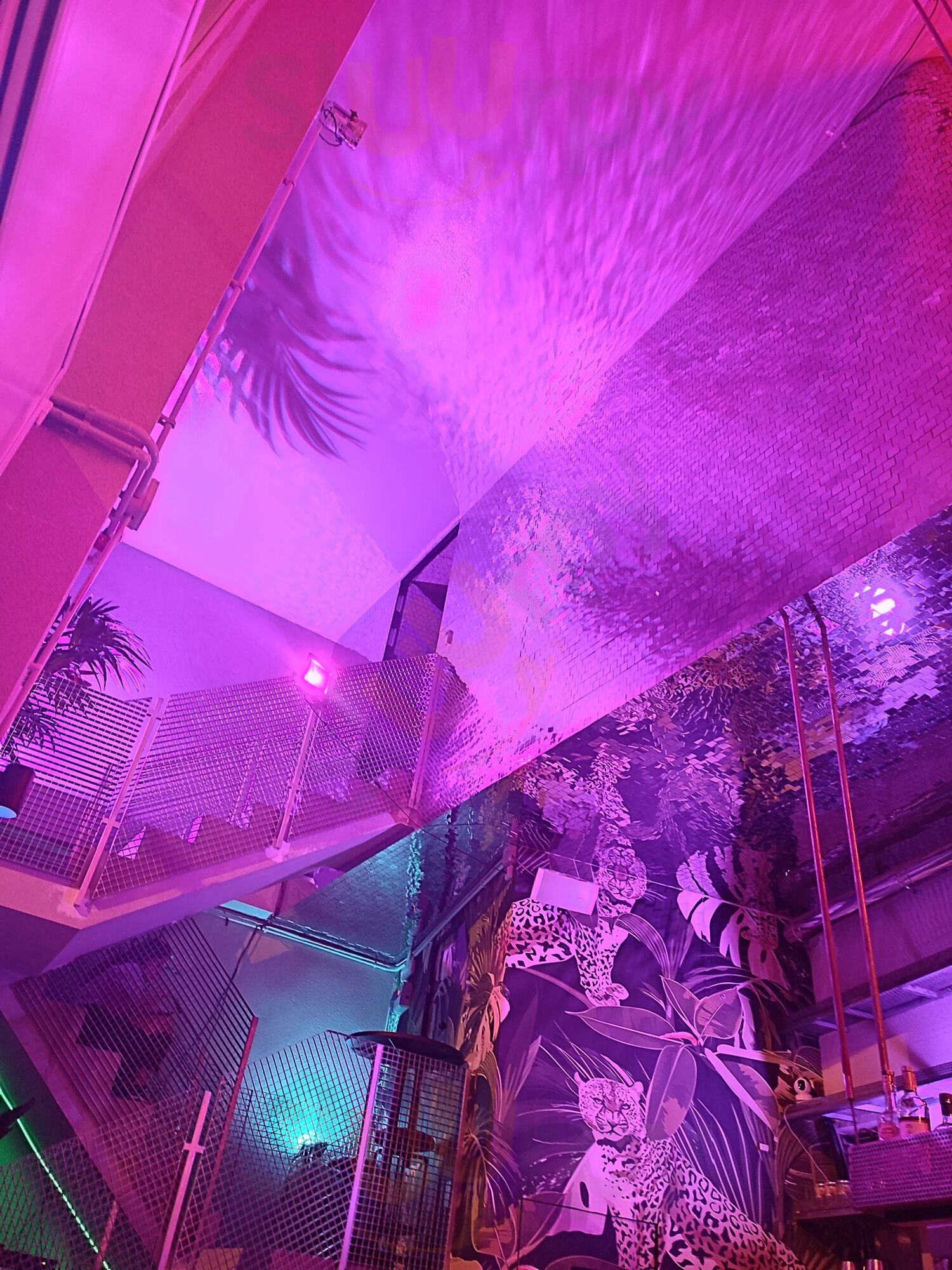 Dead End Paradise Bcn